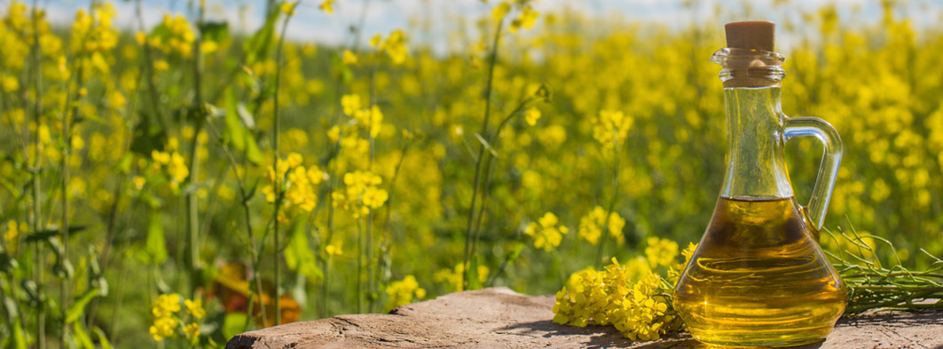 Canola oil refinery plant - Airox Nigen